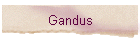 Gandus