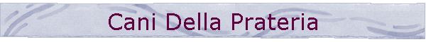 Cani Della Prateria
