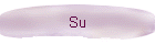 Su
