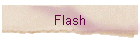 Flash