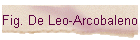 Fig. De Leo-Arcobaleno