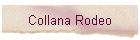 Collana Rodeo